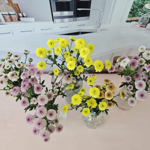 유스풀몰 온라인 꽃집 소국 생화택배 꽃배달싼곳 생화 꽃다발 솔직 후기 | 실사용자 리뷰 분석 - 상품 이미지 3