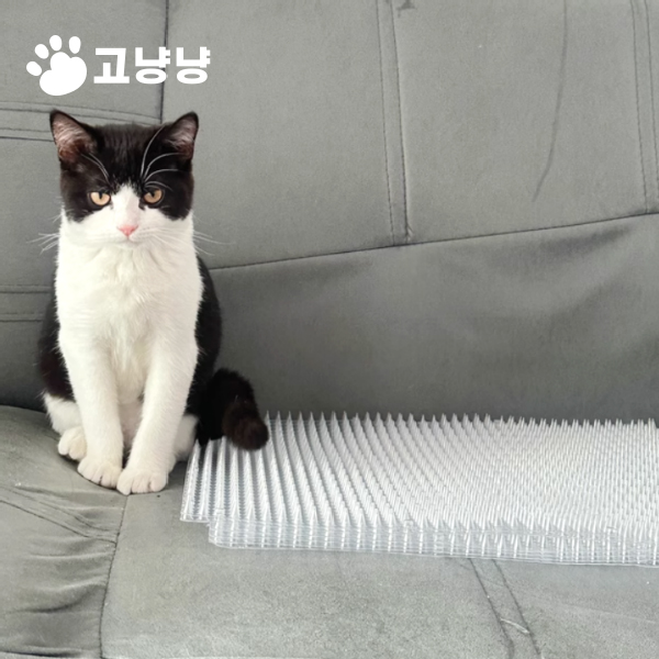고양이 퇴치 매트 퇴치제 기피제 길고양이퇴치 접근금지 - 상품 이미지