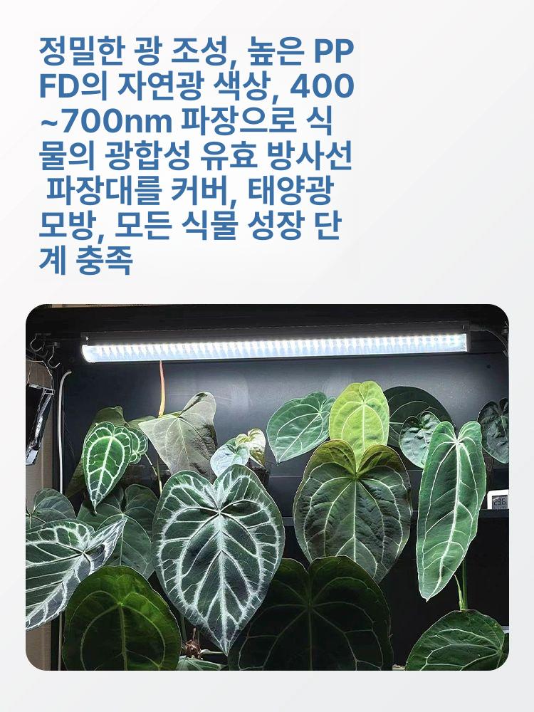 식물 성장용 LED 조명 led 레일 led등라인 T8 스펙트럼 열대식물 0.3m 7W - 상세 이미지 4