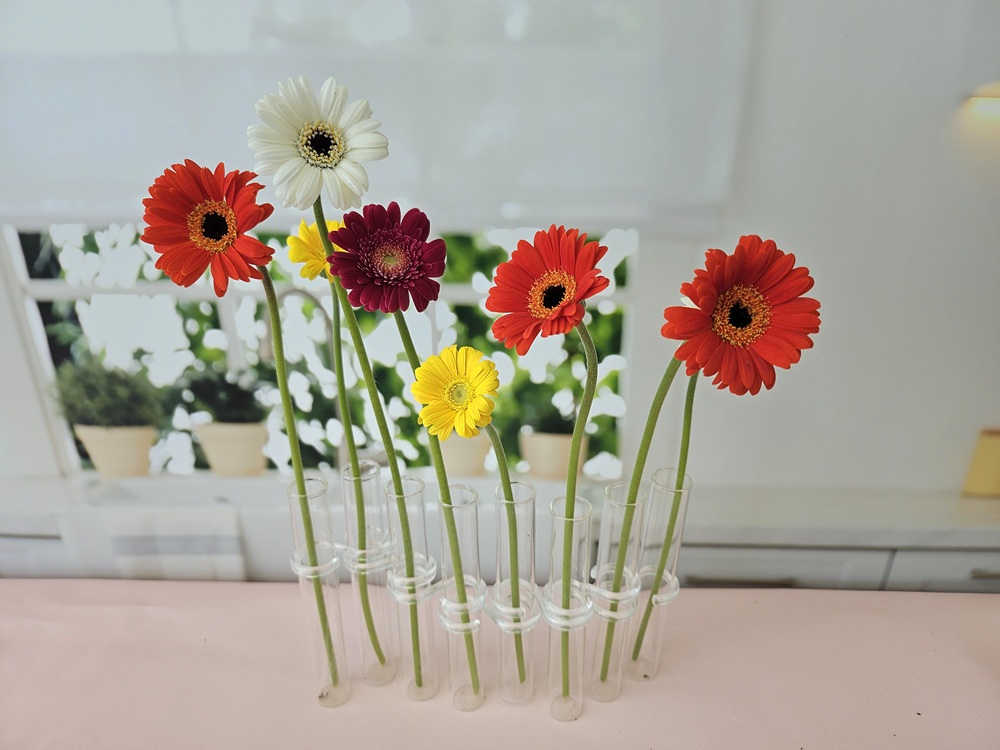 유스풀몰 미니거베라 파스텔 피콜리니 5송이 생화 택배 꽃 이미지 4