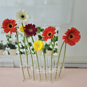 유스풀몰 미니거베라 파스텔 피콜리니 5송이 생화 택배 꽃 솔직 후기 | 실사용자 리뷰 분석 - 상품 이미지 4