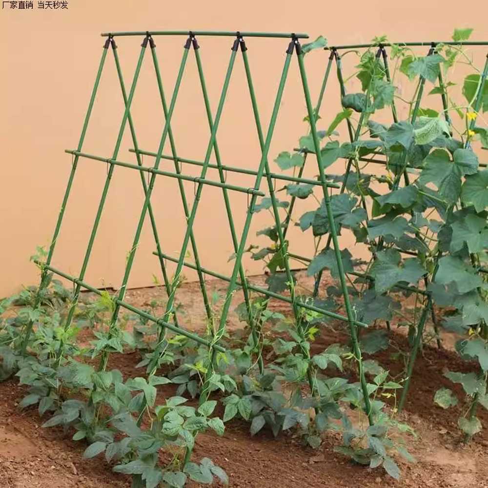 넝쿨지지대 DIY 화분 난초 농사용 오이 덩굴 토마토 300x210cm - 상세 이미지 3