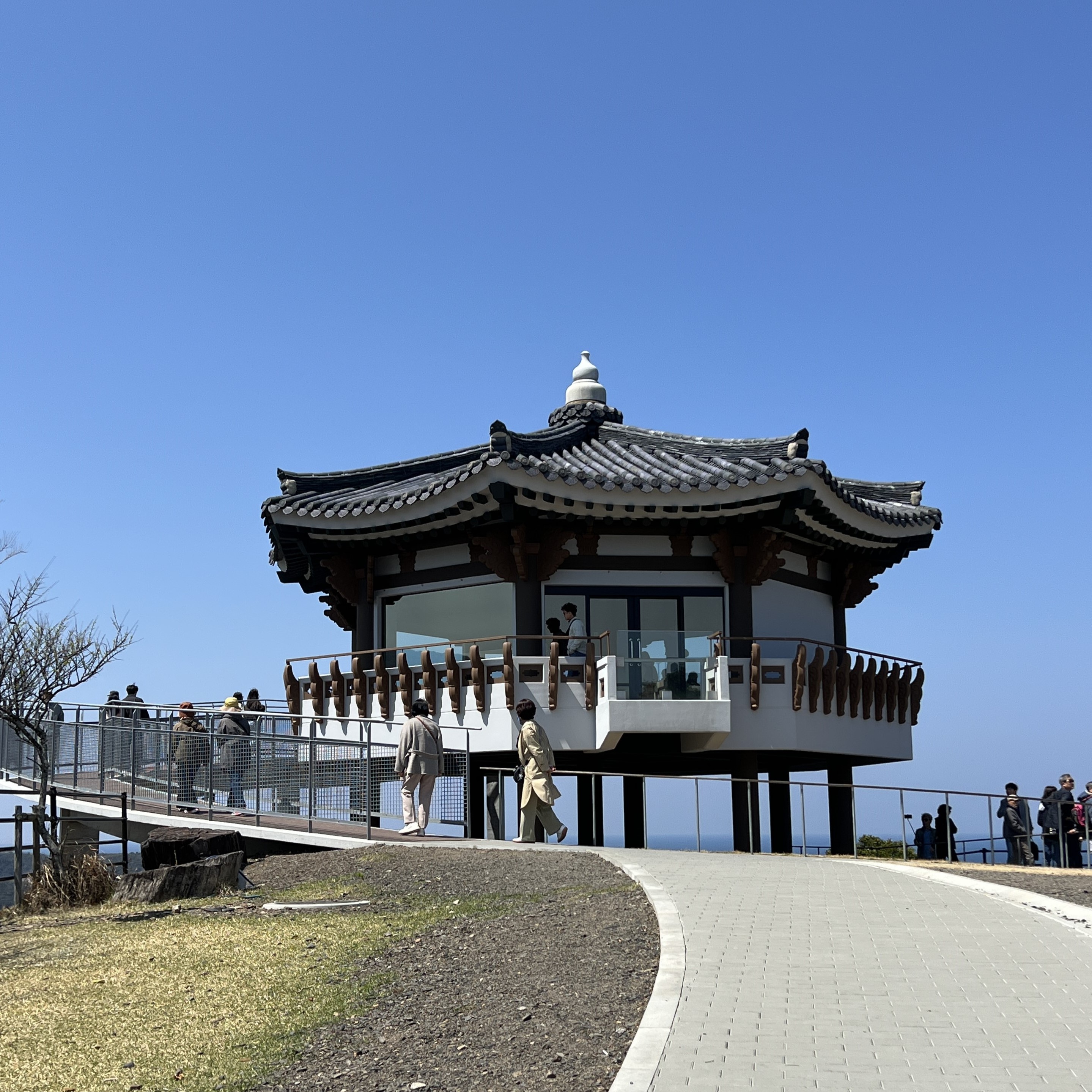 대마도 배편 왕복승선권 예약 쓰시마링크 히타카츠 이즈하라 당일치기 1박2일 2박3일