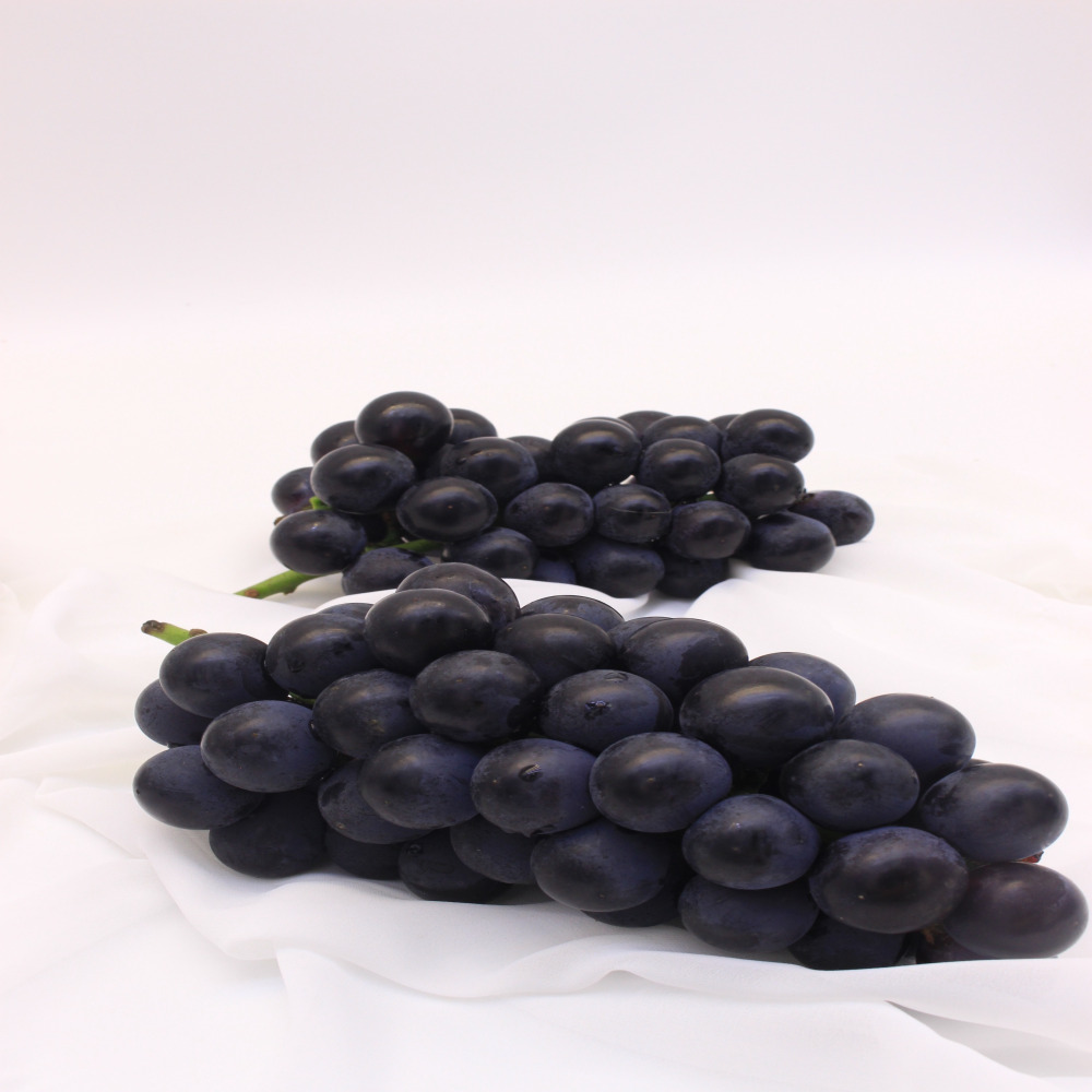거봉 제철과일 충랑 캠벨 신선한 고당도 산지직송 포도 1kg - 상세 이미지 5