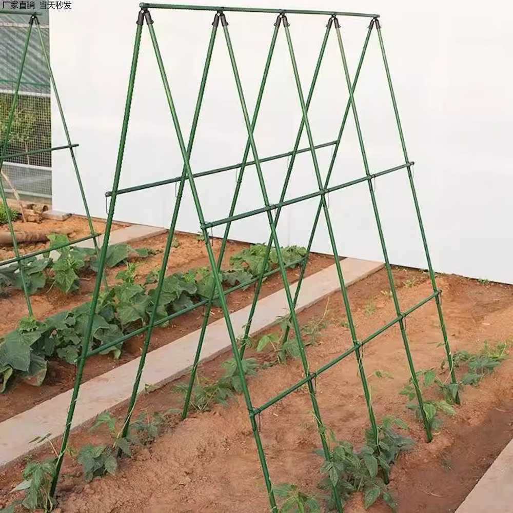 넝쿨지지대 DIY 화분 난초 농사용 오이 덩굴 토마토 300x210cm - 상품 이미지
