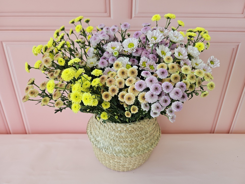 유스풀몰 소국 생화택배 꽃배달싼곳 생화