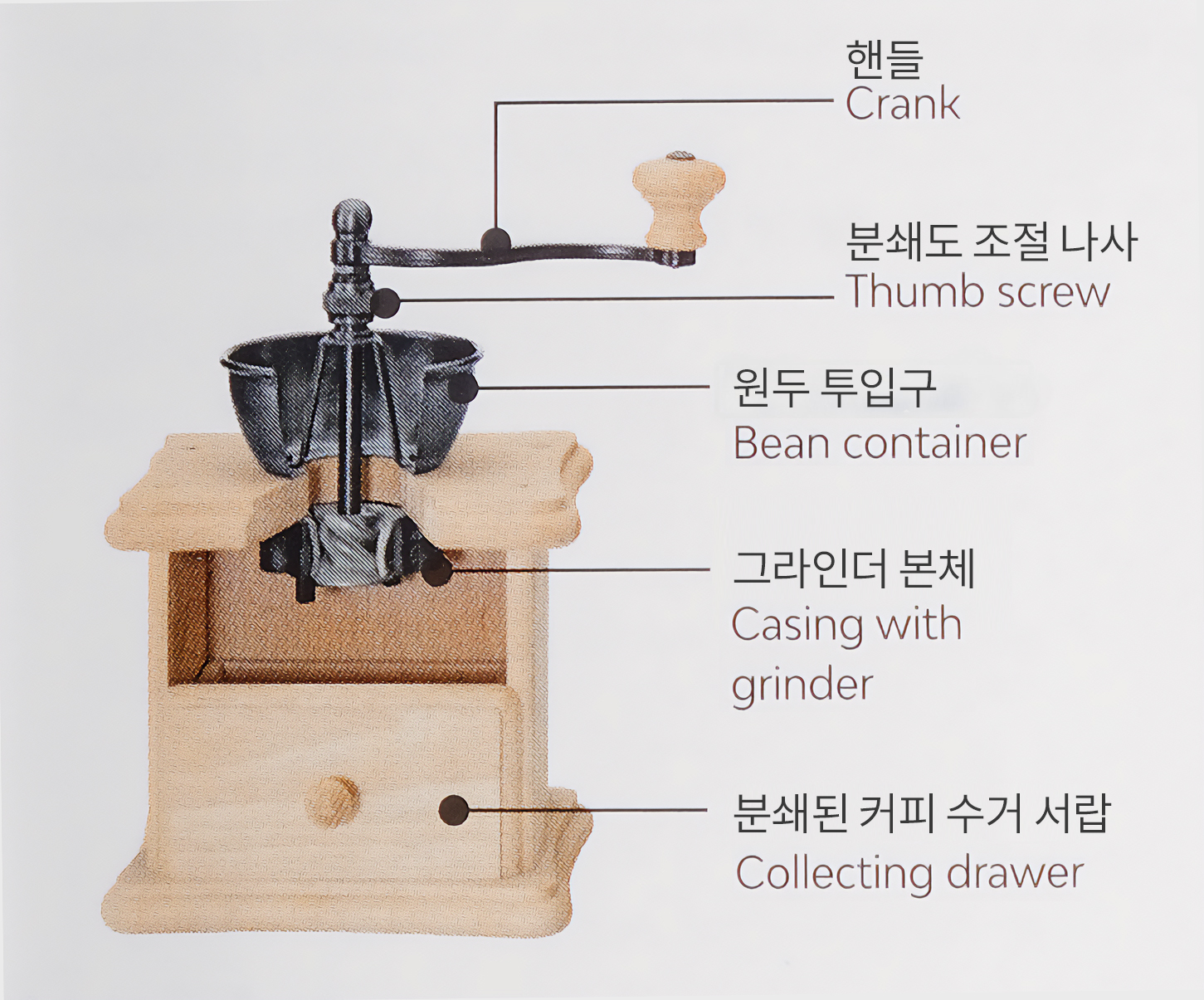 작센하우스 브라질리아 커피밀 그라인더 마호가니 - 상세 이미지 4