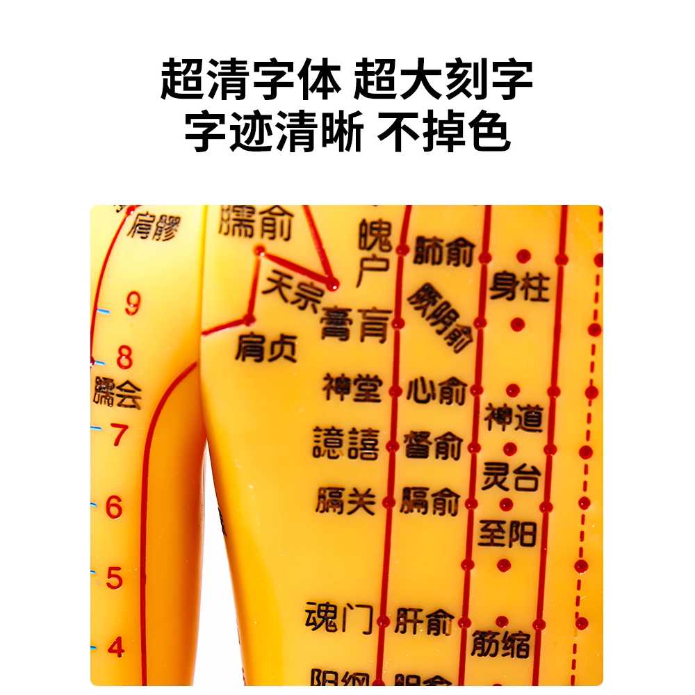 경혈 혈자리 인형 침술 한방 인체 모형 피규어 실습 구리 60cm 남자 - 상세 이미지 3