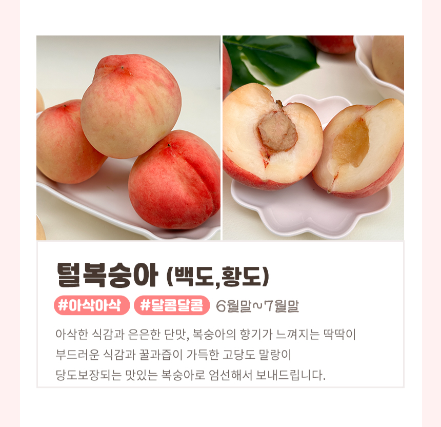 옹골찬 경봉복숭아 황도 딱복숭아 백도 돌복숭아 물렁 물복 물복숭아 복숭아철 제철 - 상세 이미지 2