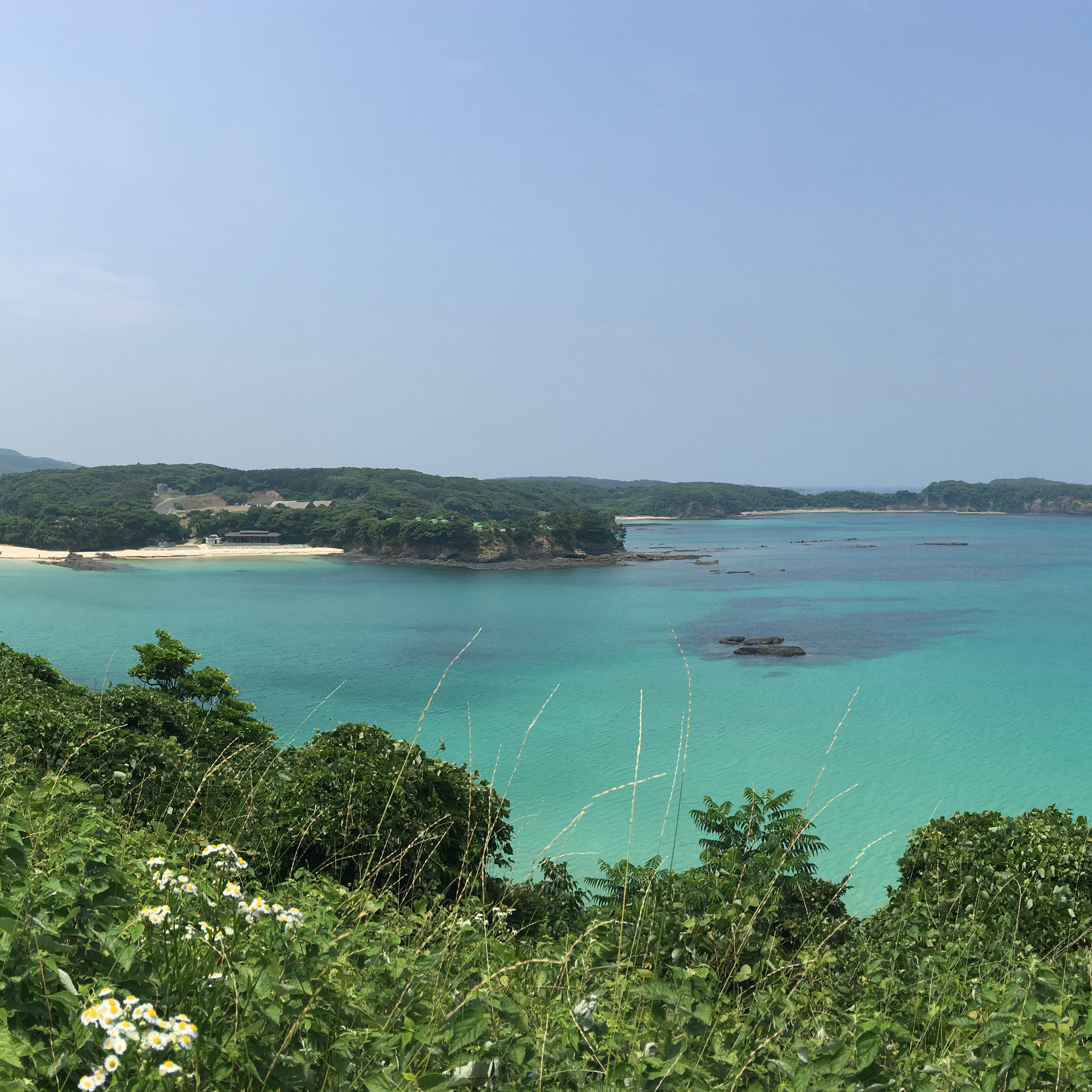 대마도 배편 왕복승선권 예약 씨플라워 대아고속 히타카츠 이즈하라 당일치기 1박2일