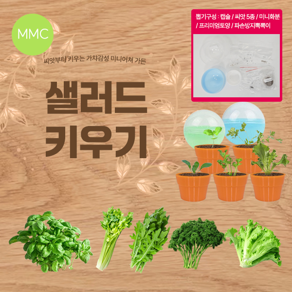 가챠 미니 샐러드 키우기 5종 식물 캡슐 토이 샐러드 스위트바질 파슬리 샐러리 루꼴라 양상추