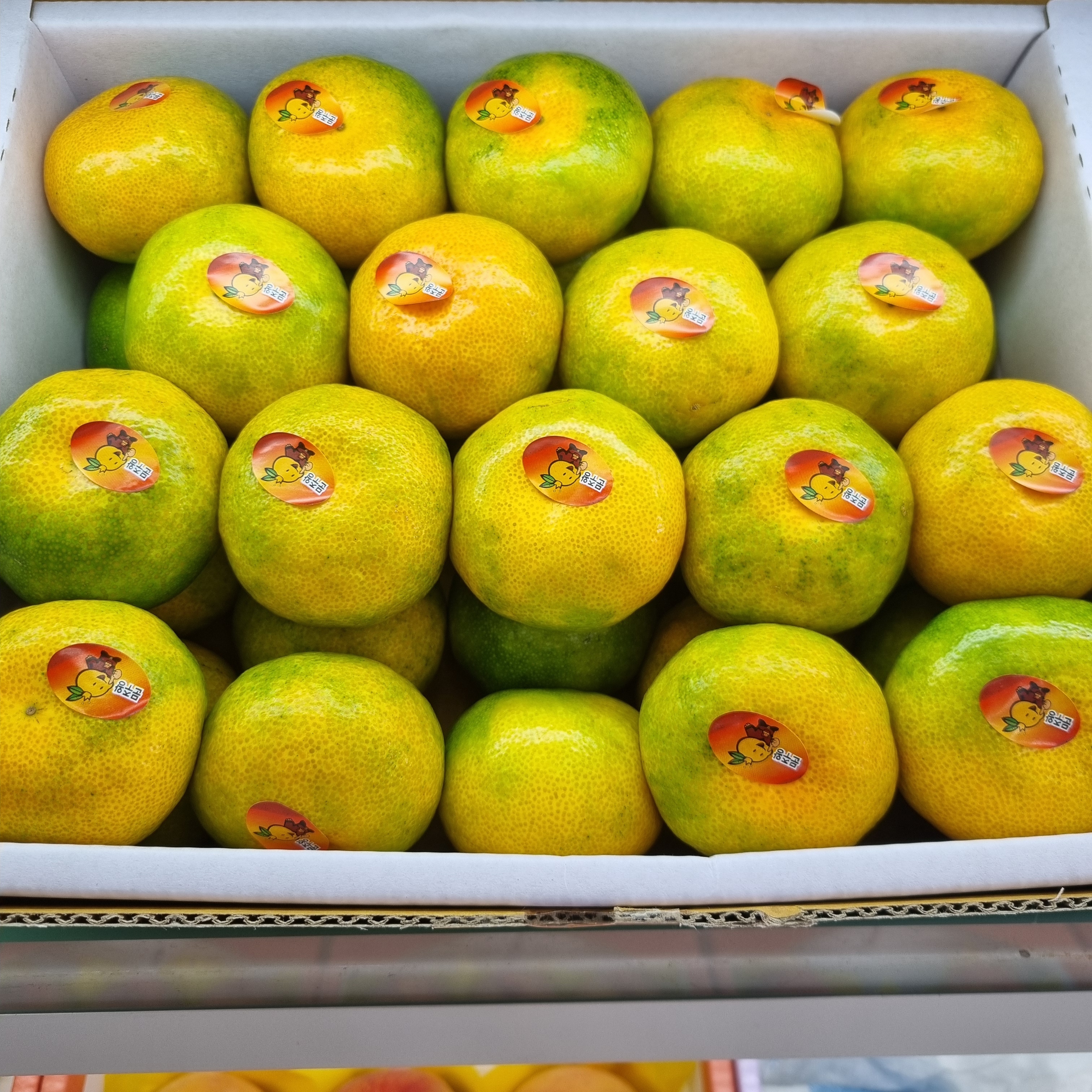제주 위미 효돈감귤 3kg 5kg 노지 타이백 감귤 밀감 이미지 6