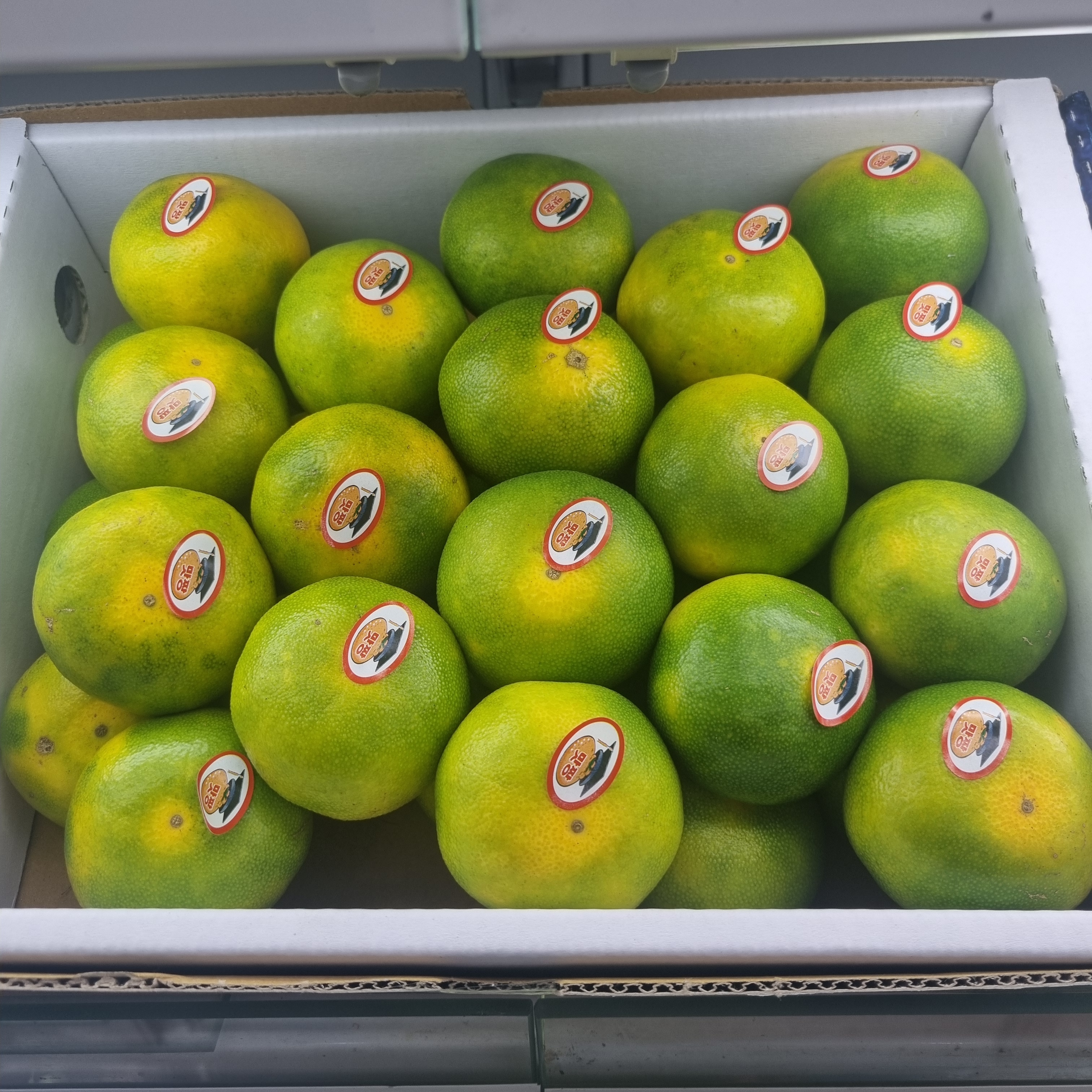 제주 위미 효돈감귤 3kg 5kg 노지 타이백 감귤 밀감 - 상세 이미지 4