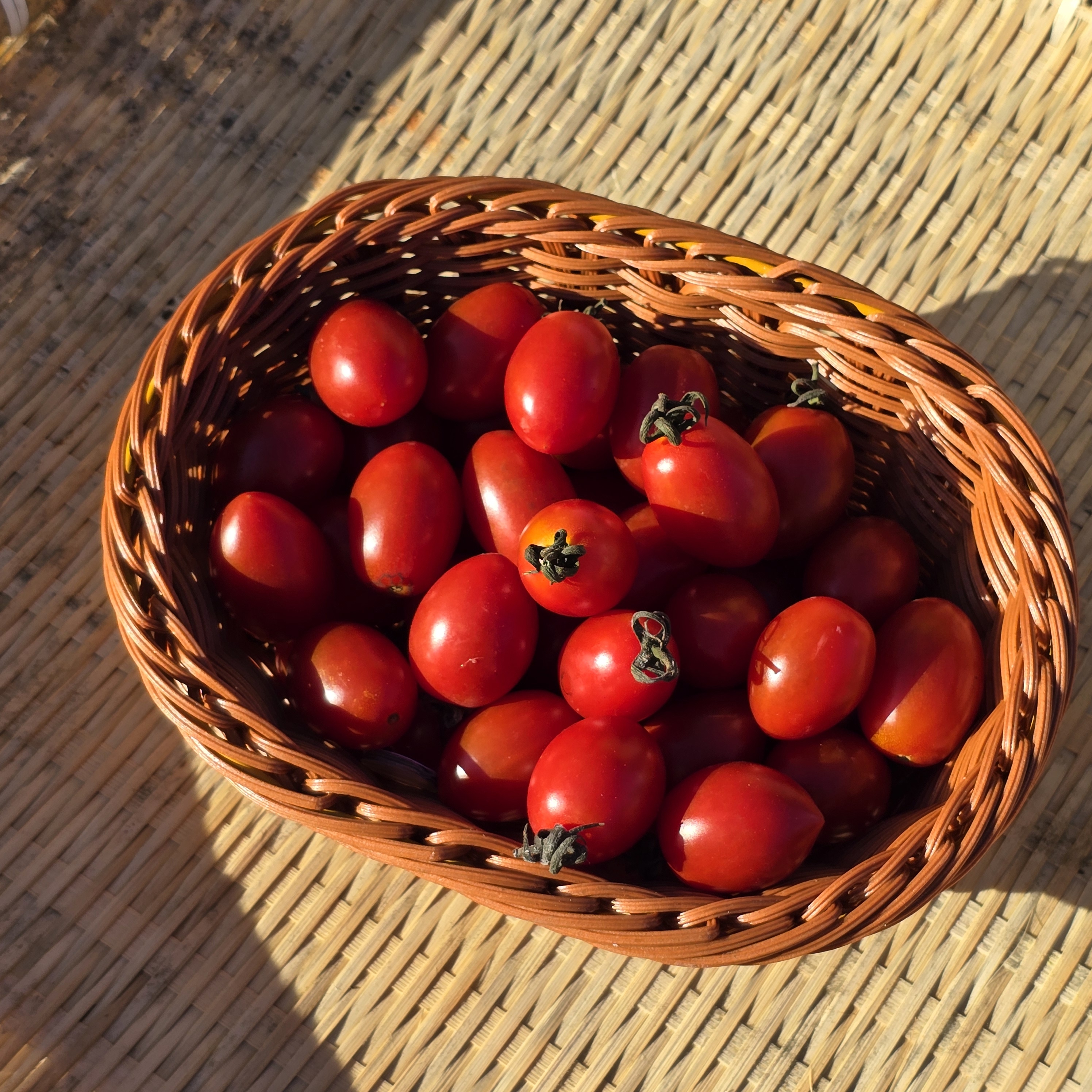 국내산 대추 방울토마토 1kg 2kg 3kg 대추방울토마토
