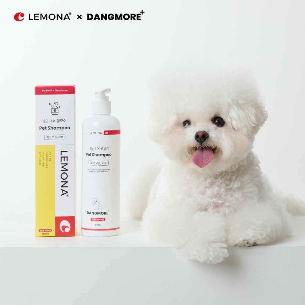 레모나 댕모어 레모나 댕모어 강아지 올인원 샴푸 저자극 피모 보습 케어 300ml, 1개 - 상세 이미지 3