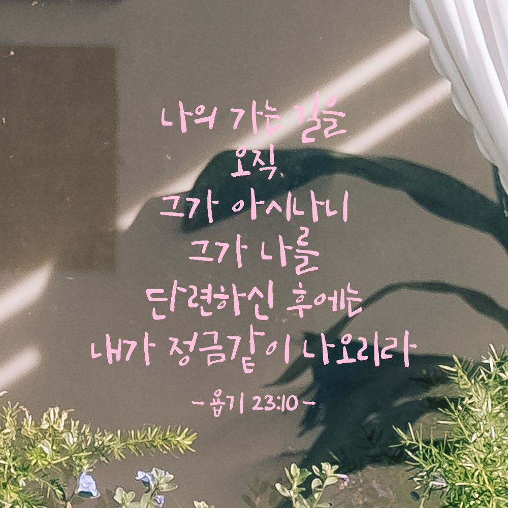 캘리그라피 좋은 성경 구절 말씀 교회 스티커 욥기 23장 10절 검정S 이미지 6