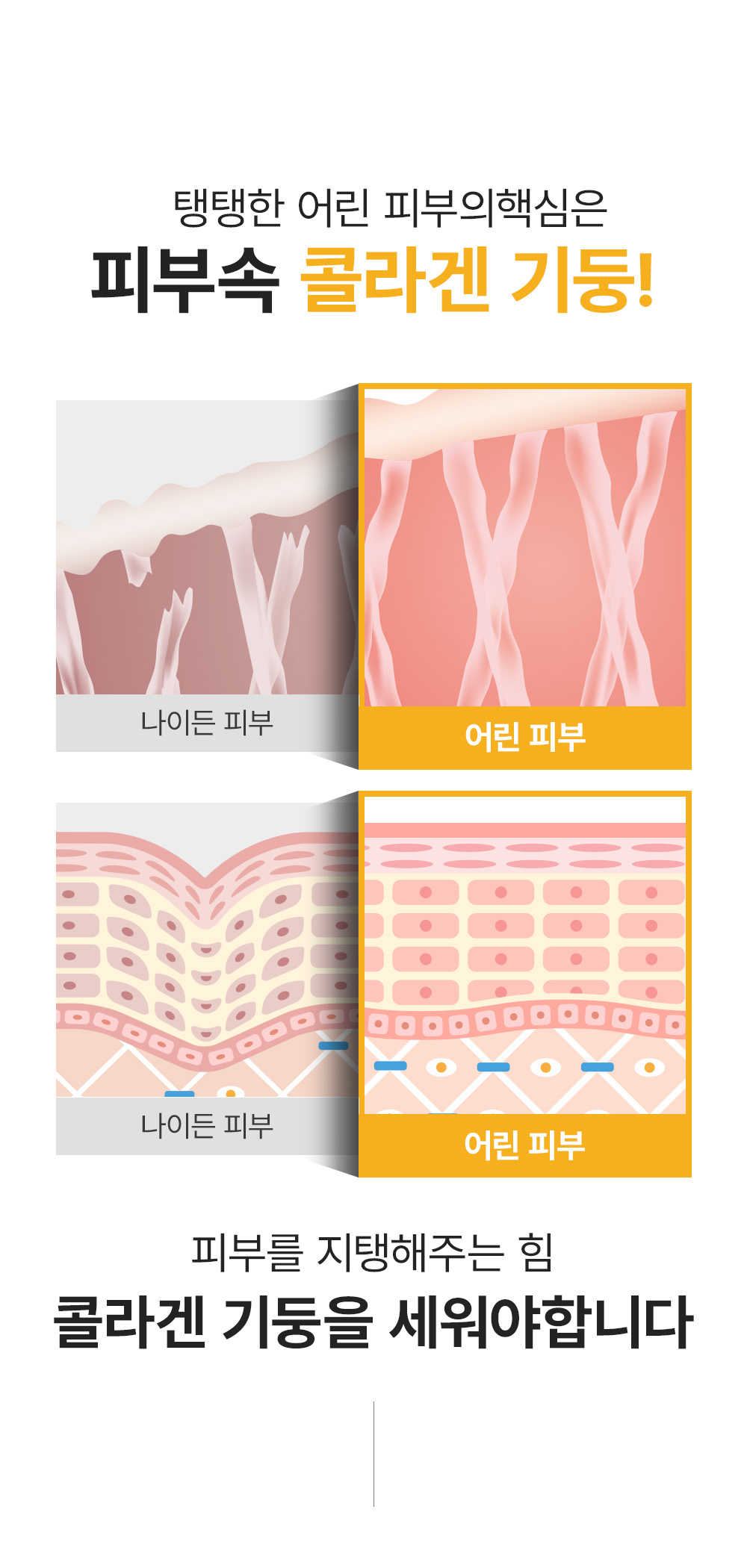 sungboon editor collagen patches