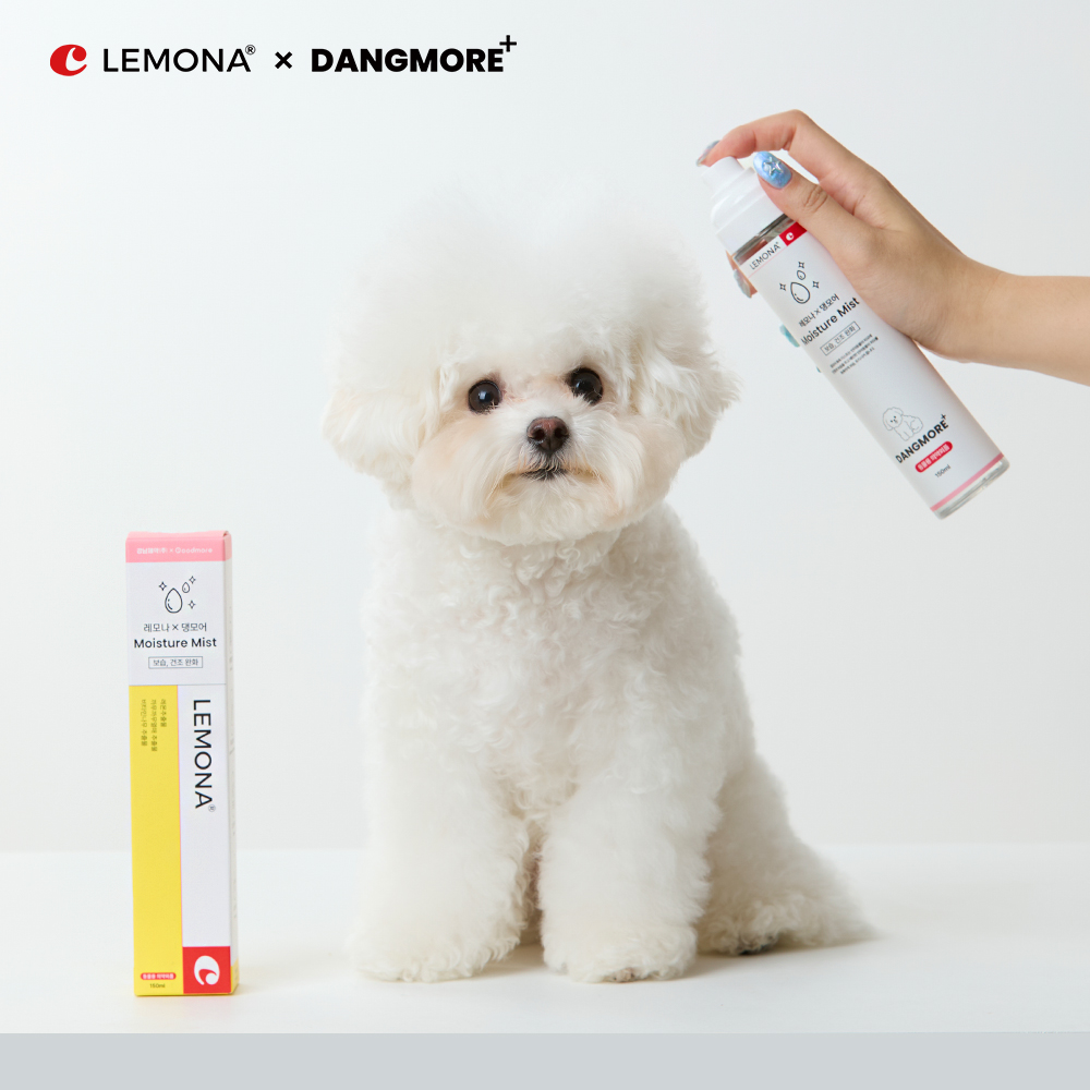 레모나 댕모어 강아지 고양이 미스트 정전기 방지 피모 보습 150ml, 2개 - 상세 이미지 2