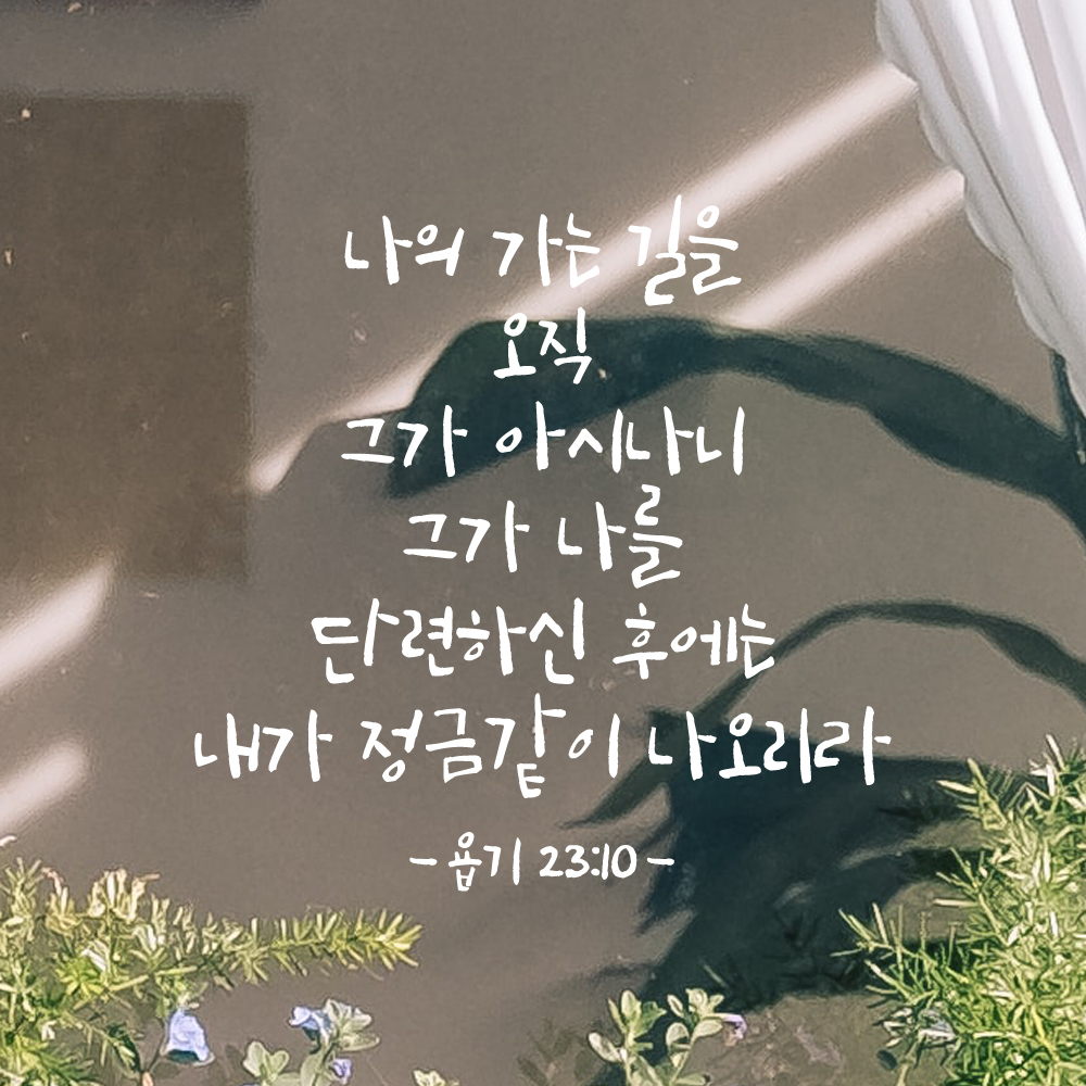 캘리그라피 좋은 성경 구절 말씀 교회 스티커 욥기 23장 10절 검정S - 상세 이미지 4