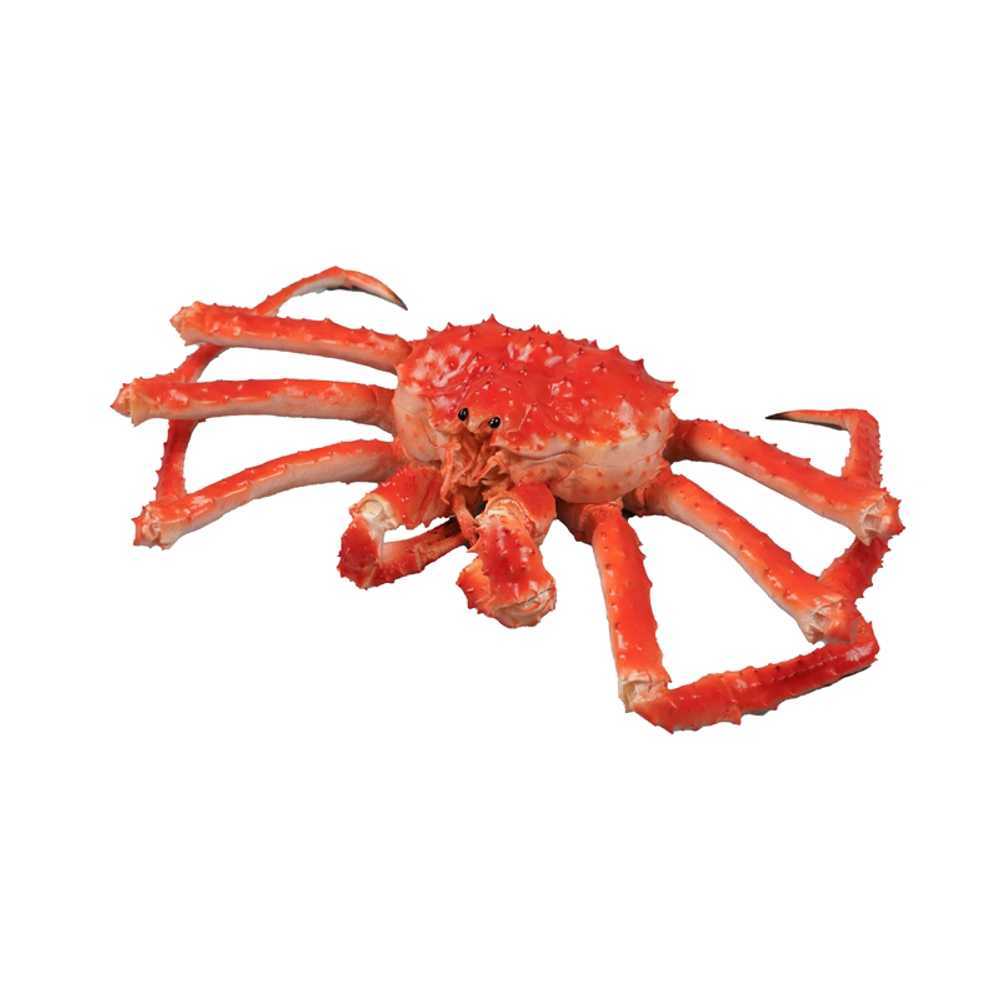 대게 모형 장식 인테리어 해산물 소품 디스플레이 A형 40cm 킹크랩 - 상세 이미지 3