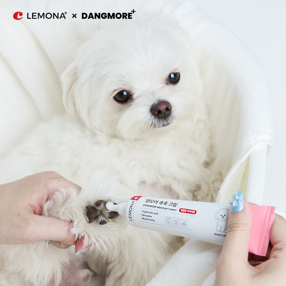 레모나 댕모어 강아지 발밤 고양이 풋크림 발바닥 보습제 40ml, 1개 - 상세 이미지 3