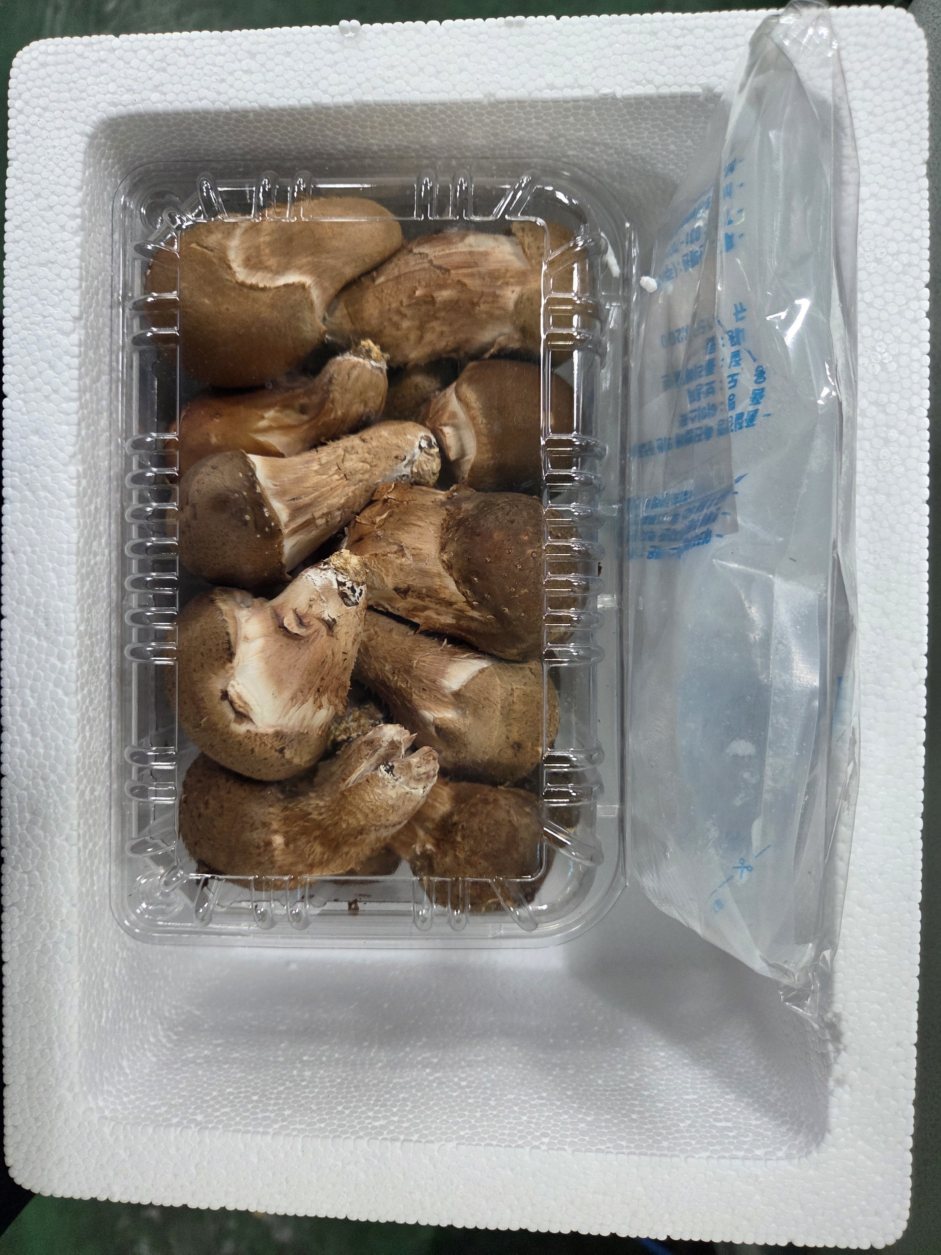 친환경 참송이버섯 고급 무농약 국내산 500g 알뜰 송이향 이미지 8