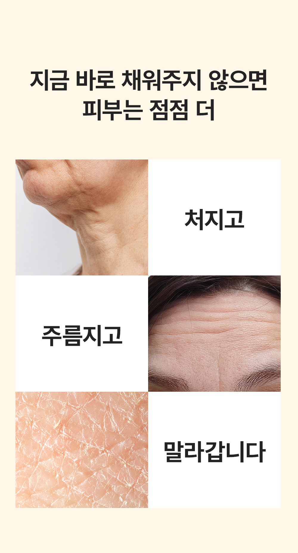 sungboon editor collagen patches
