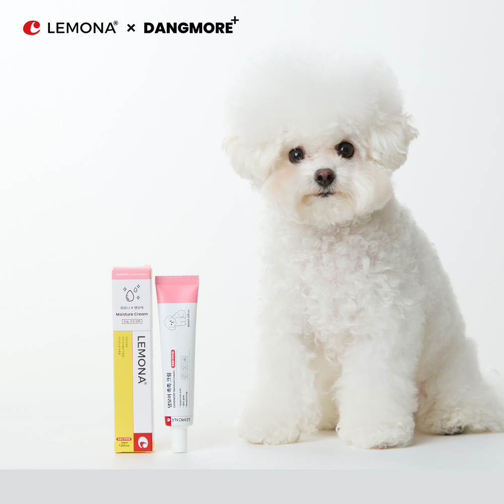 레모나 댕모어 강아지 발밤 고양이 풋크림 발바닥 보습제 40ml, 1개 - 상세 이미지 4