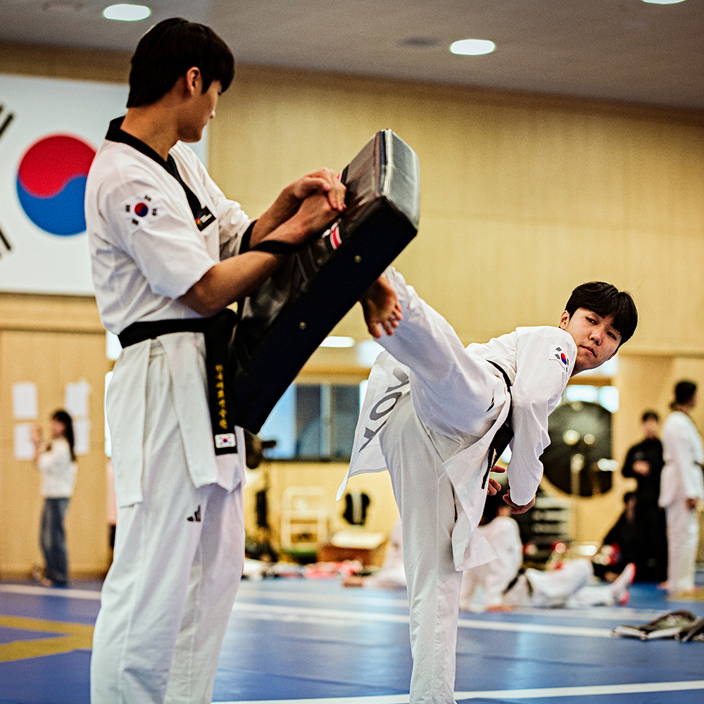 아디다스 미트 뒷차기미트 태권도 발차기 복싱 태권도장 킥복싱 격투기 고급형 - 상세 이미지 2