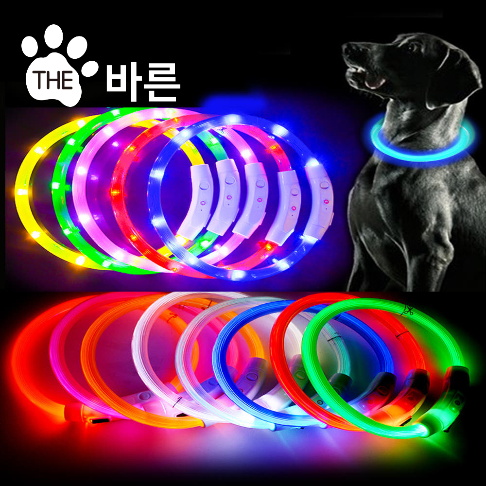 더바른 강아지 LED 목줄 스몰 S 목걸이 반려견 야간산책 안전 애견 야광 충전식 - 상품 이미지