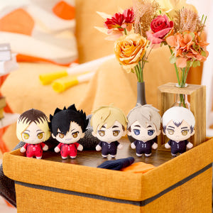 하이큐 푸치슈 봉제인형 2탄 (5종) 실사용 후기 | 효과 있을까? - 상품 이미지 1