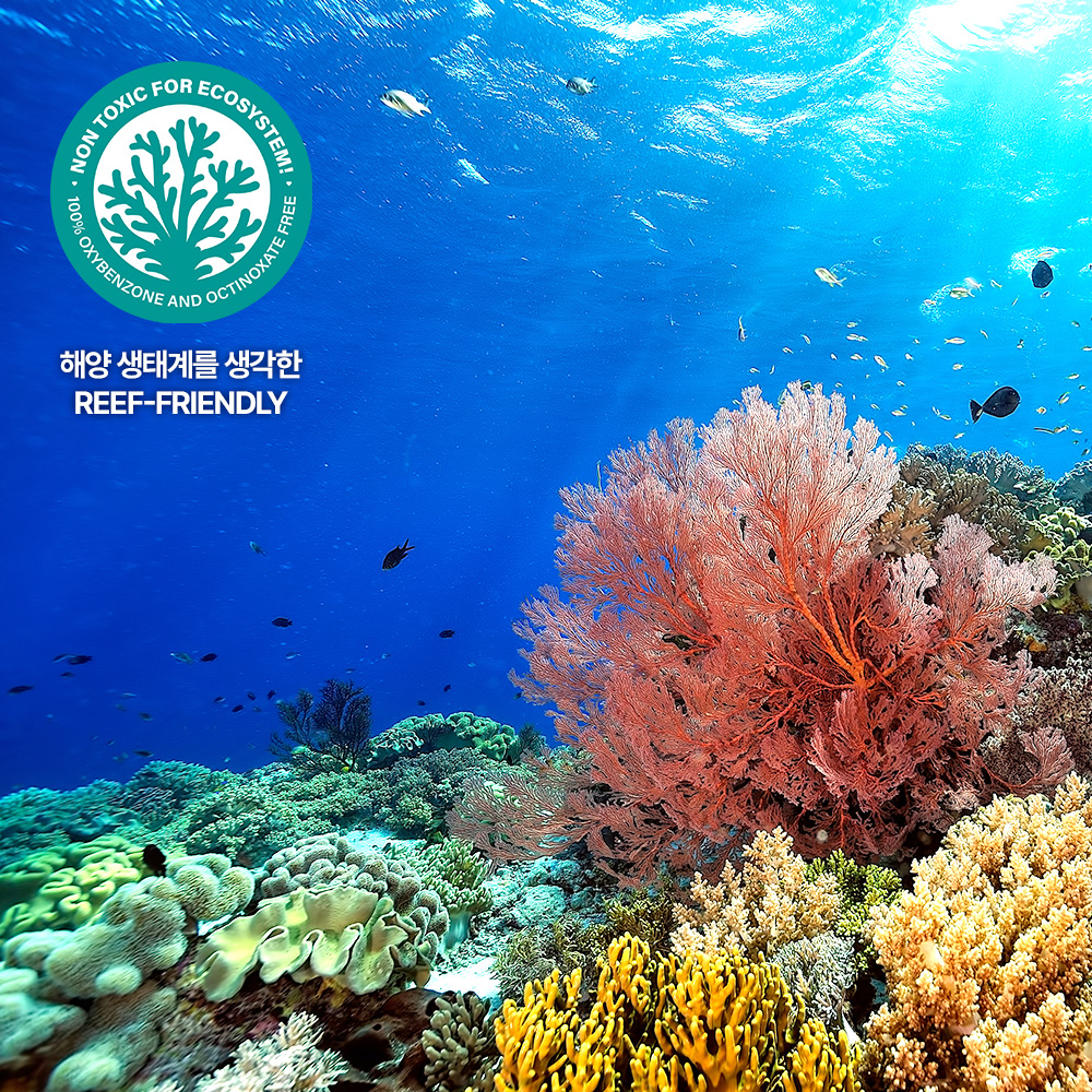 [바액] [2개] 선블록 스틱 [18g] 보송한 사용감 번들거림없는 선스틱 비타민E 토코페롤  BISABOLOL 주름 미백 자외선차단 3중 기능성 선크림