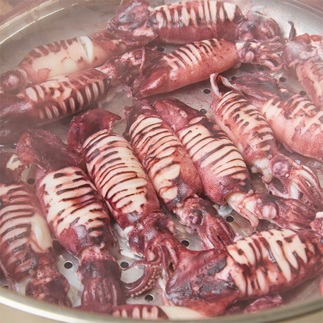 총알한치 20미 내외 통찜용한치