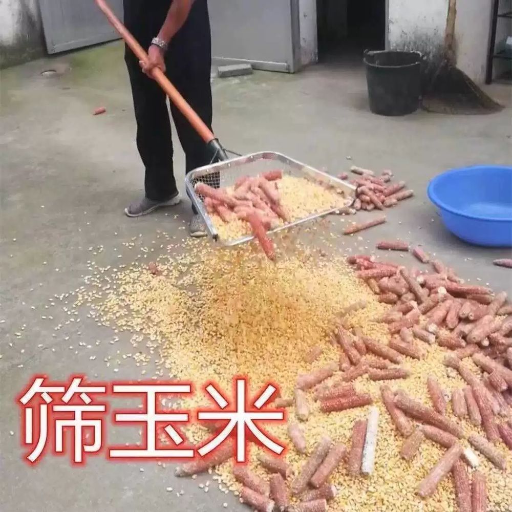 삼태기 옥수수 돌멩이 망사형 땅콩 거름망 수확기 뜰채망 A. 12mm 갭 땅콩 고효율 필터 - 상세 이미지 5
