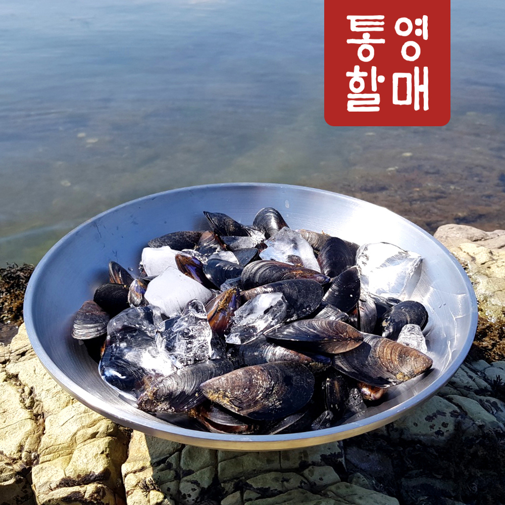 통영할매 홍합5K 산지직송 - 상품 이미지