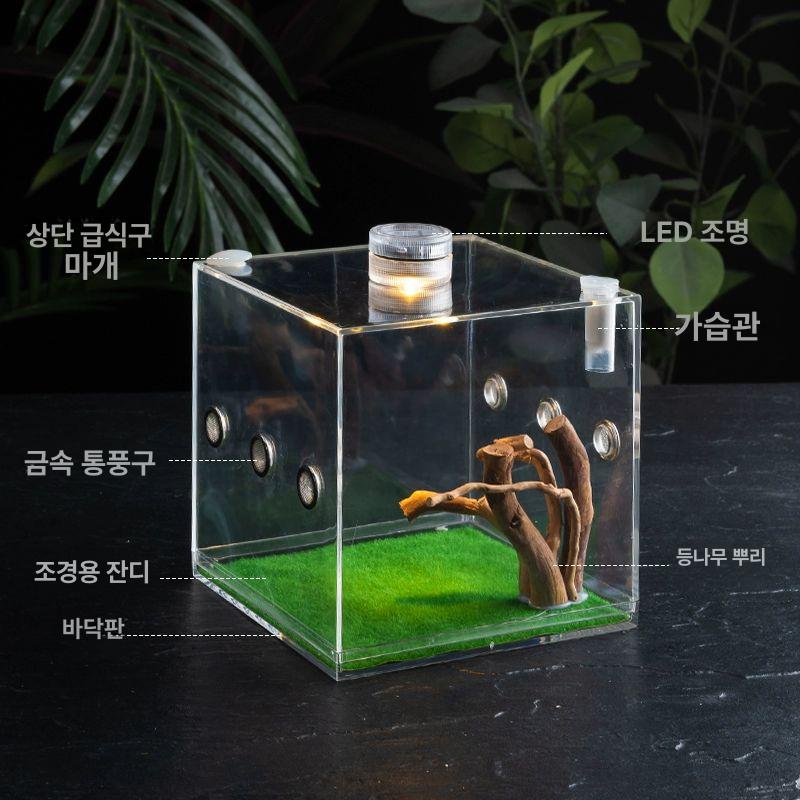사마귀 사육장 파충류 사육 도마뱀 애완 채집통 대형 스탠다드 모델 상단 투입구 미니 LED 등 5.5x5.5cm - 상세 이미지 5