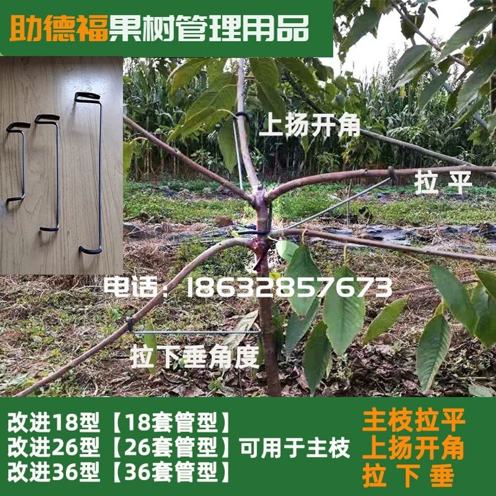 가지유인기 과수자재 과수원 고정 유인추 사과 J. 뒤쪽과 상단 가지 각각 12g 16g - 상세 이미지 3
