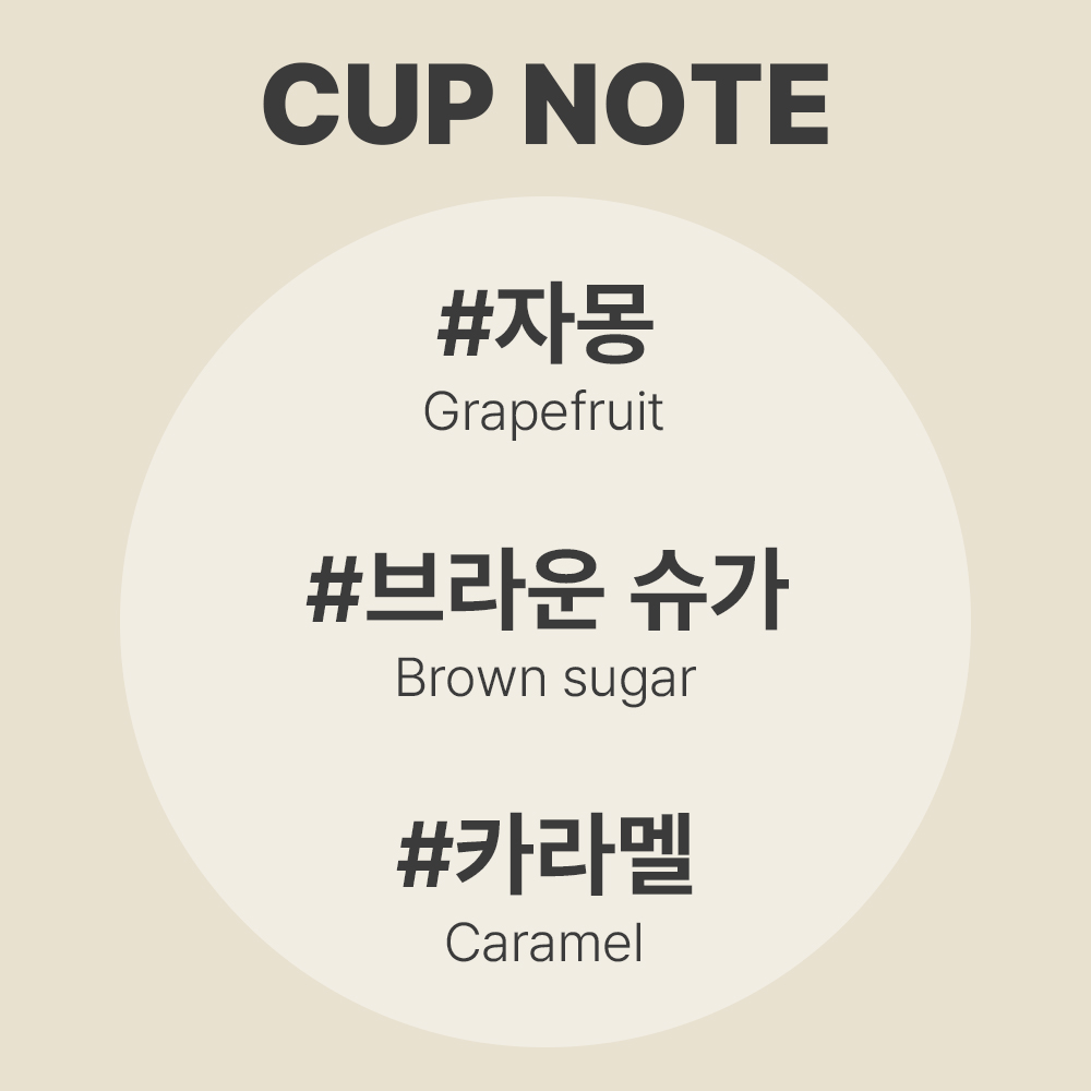 케냐AA 원두커피 산미있는 커피 약배전 스페셜티 커피
