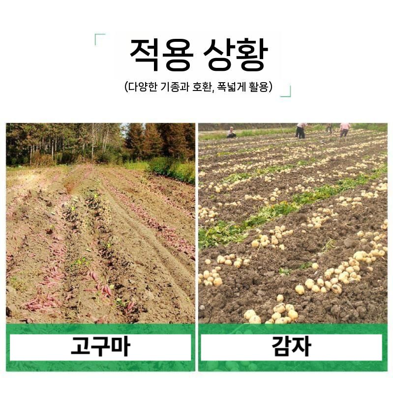 땅속작물수확기 감자 고구마 캐는기계 경운기 트랙터 쟁기 소형 경운기용 - 상세 이미지 5