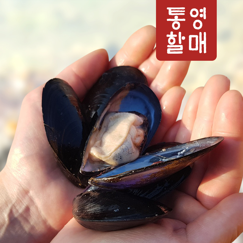 통영할매 홍합5K 산지직송 - 상세 이미지 4