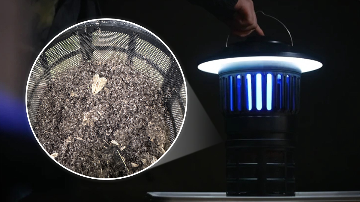 클레버 모기 해충 초파리 퇴치기 흡입형트랩 랜턴 가정용 캠핑용 포집기