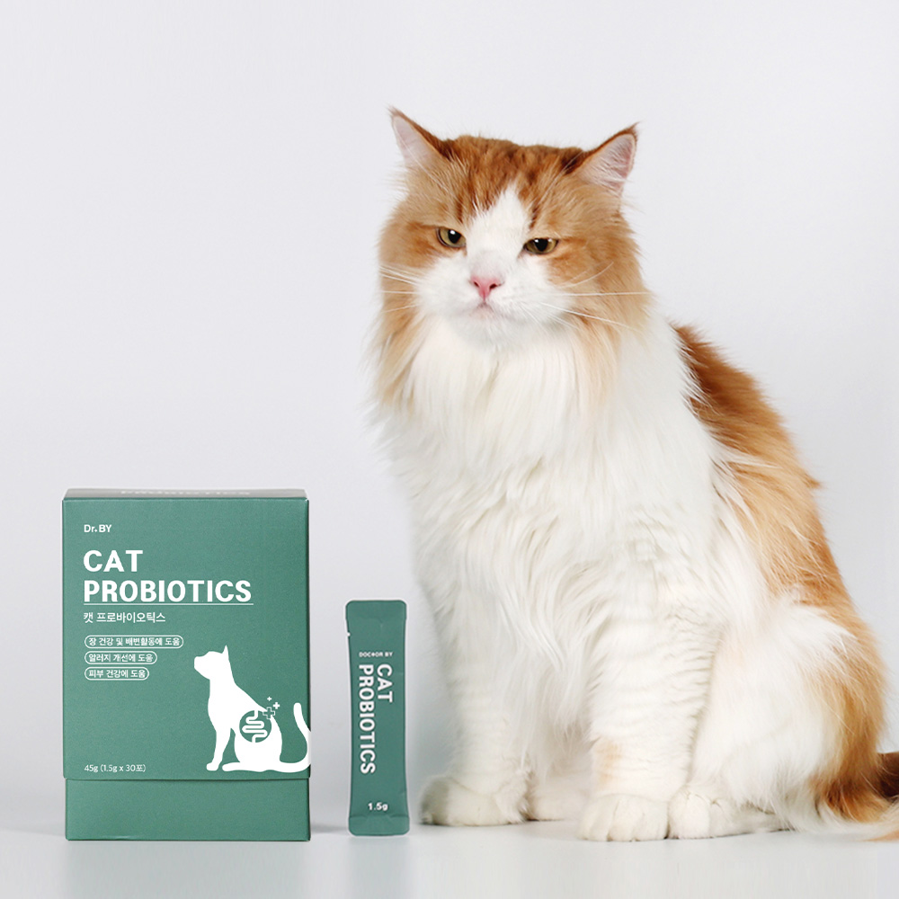 닥터바이 캣 프로바이오틱스 고양이 유산균 장 건강 영양제 30포, 1개 - 상세 이미지 2