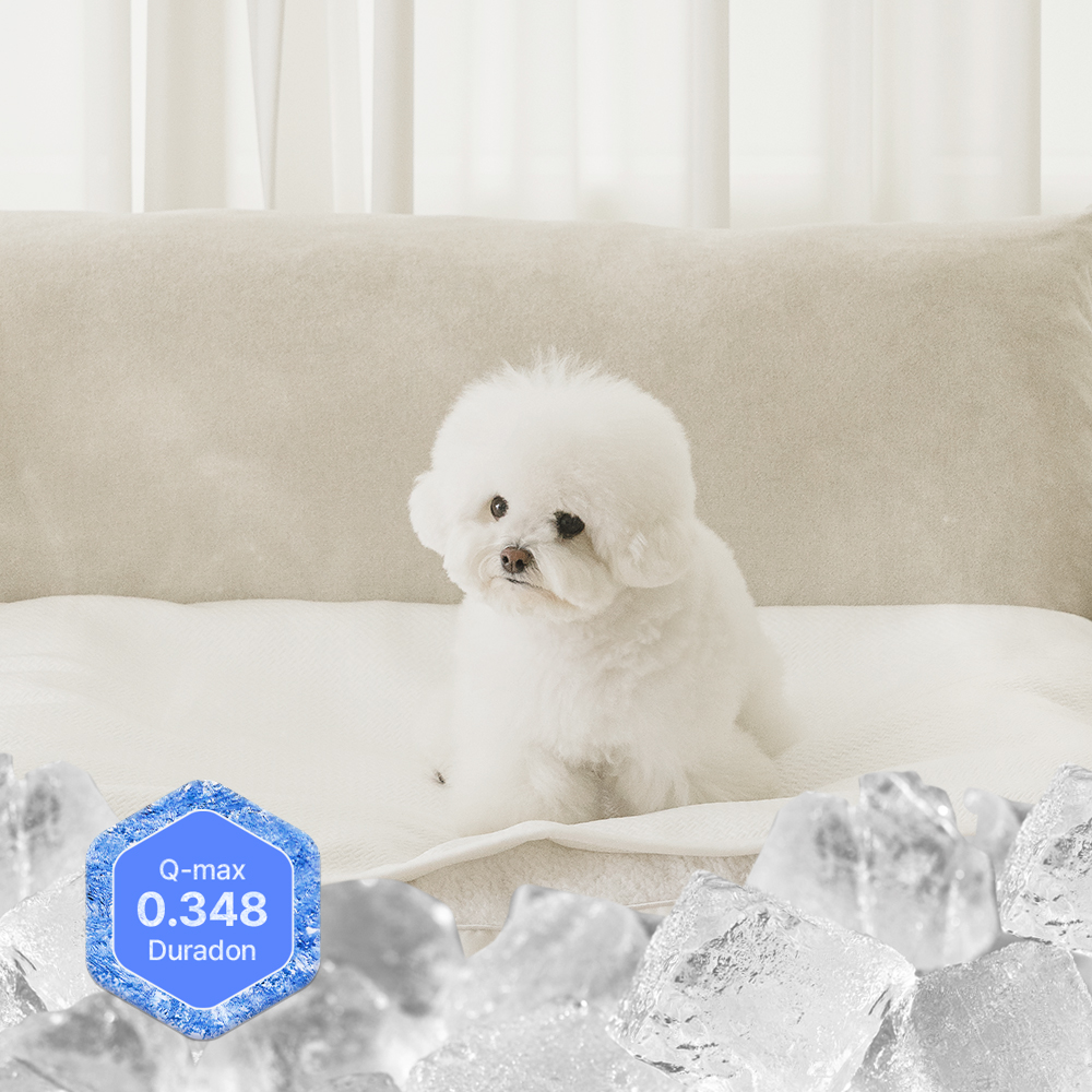 뭉연구소 강아지 고양이 냉감 쿨매트 밴딩형 SS 이미지 8