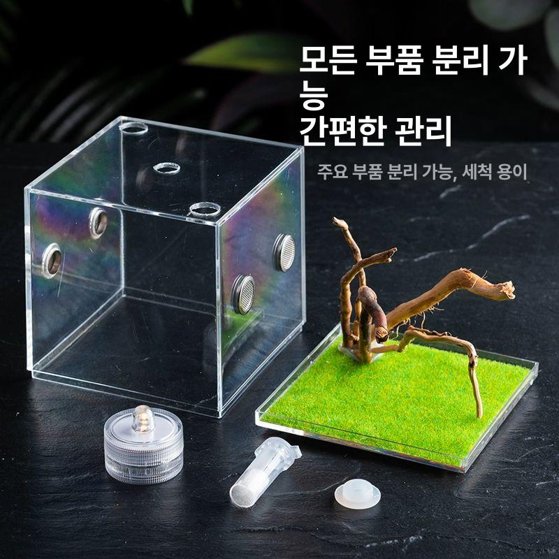 사마귀 사육장 파충류 사육 도마뱀 애완 채집통 대형 스탠다드 모델 상단 투입구 미니 LED 등 5.5x5.5cm - 상세 이미지 2