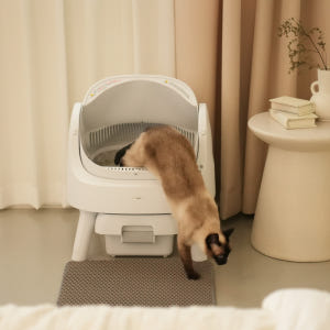 펫피봇 고양이 자동 화장실 대형 저소음 배변통 솔직 후기 | 실제 사용자 리뷰 총정리 - 상품 이미지 2