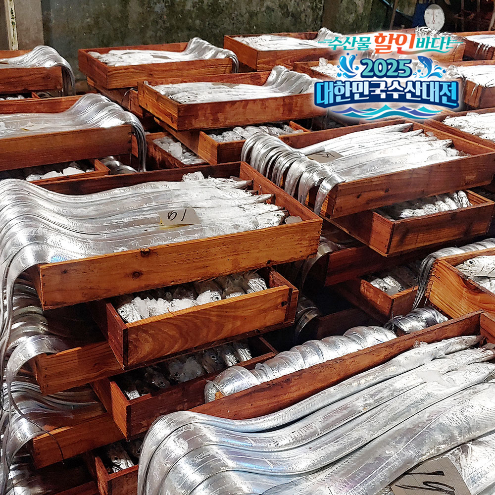 제주 은갈치 특대 400g 3마리, 특특대 550g 2마리 (갈치구이, 갈치조림, 냉동 갈치)