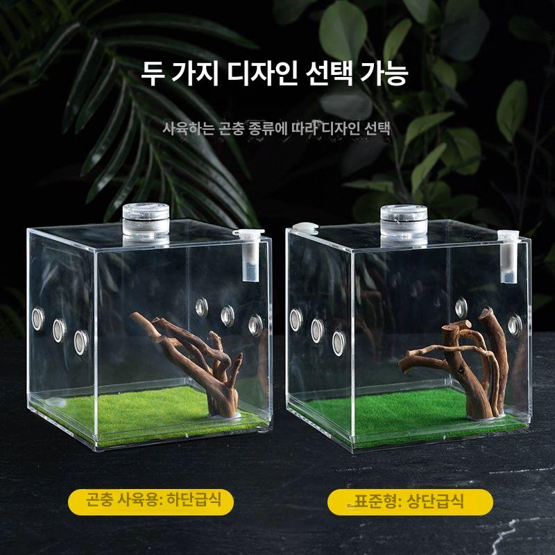사마귀 사육장 파충류 사육 도마뱀 애완 채집통 대형 스탠다드 모델 상단 투입구 미니 LED 등 5.5x5.5cm - 상세 이미지 4
