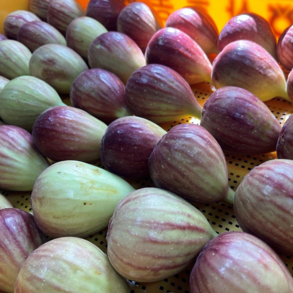 영암 생무화과 제철 전남 영암무화과 홍무화과 여름 햇무화과 산지 3kg, 1개