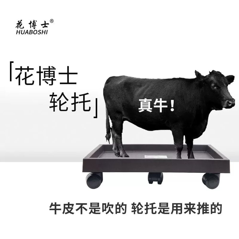이동식 화분 받침대 스텐 바퀴 트레이 사각 A. 다크브라운 350내부길이 32폭 21.5 - 상세 이미지 3