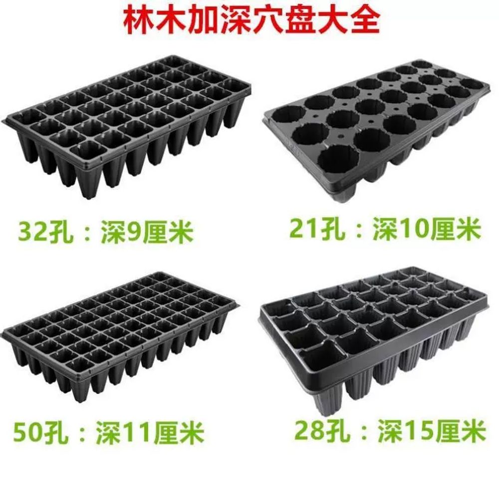 묘목트레이 깊은 모종판 230g 모종 포트 32구 A. 랜덤 사셰 증정 구매 시 주의 사항 이미지 6